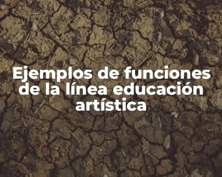 Ejemplos de funciones de la línea educación artística