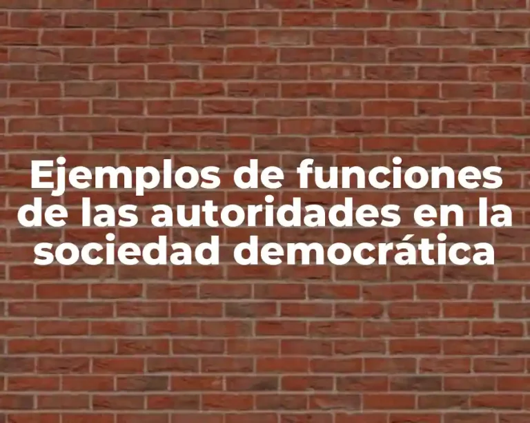 Ejemplos de funciones de las autoridades en la sociedad democrática