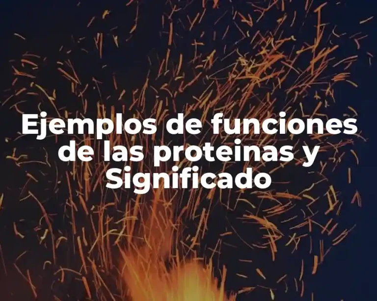 Ejemplos de funciones de las proteinas y Significado