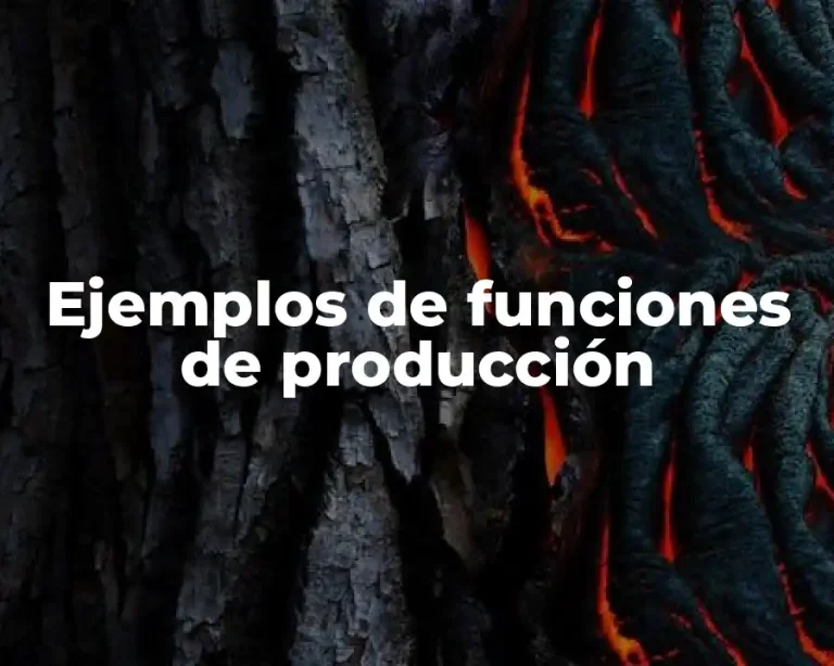 Ejemplos de funciones de producción