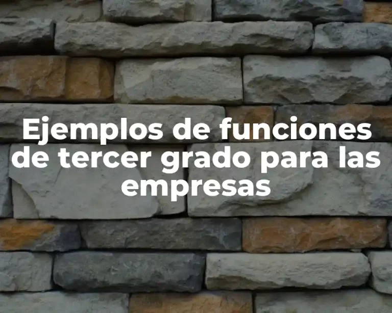 Ejemplos de funciones de tercer grado para las empresas