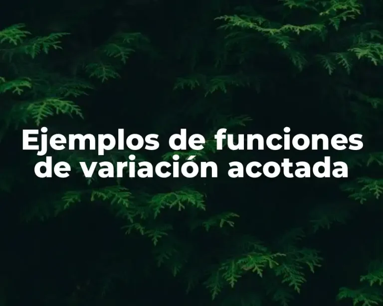 Ejemplos de funciones de variación acotada