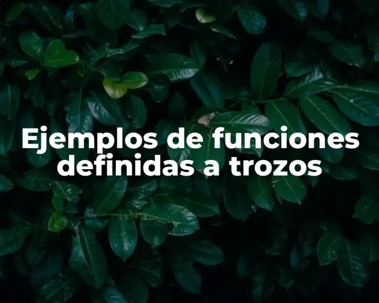 Ejemplos de funciones definidas a trozos