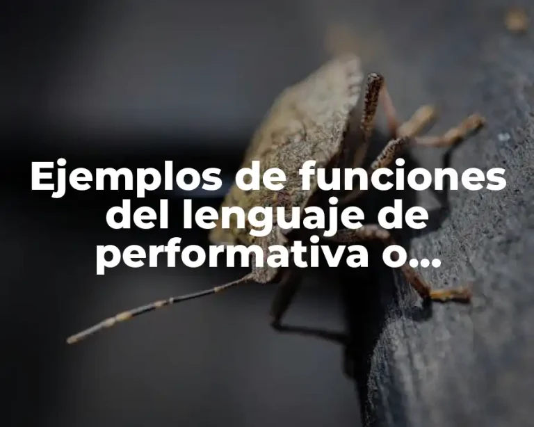 Ejemplos de funciones del lenguaje de performativa o realizativa