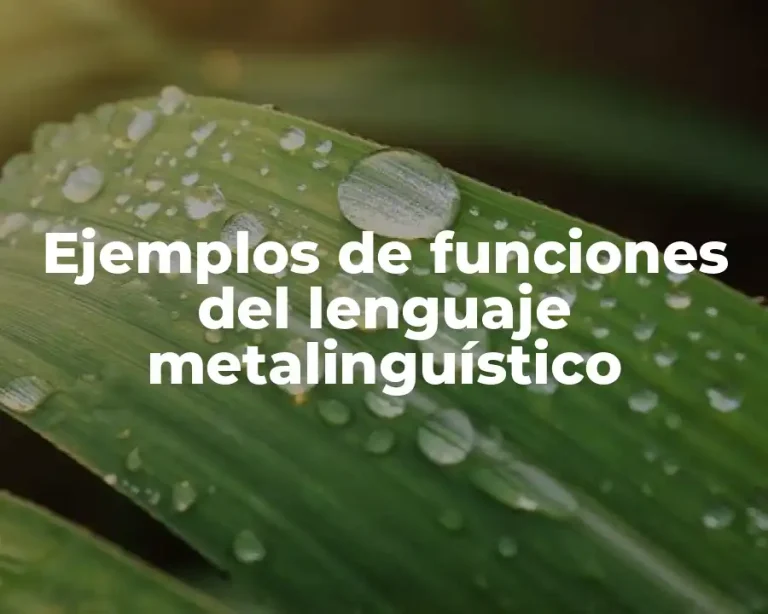 Ejemplos de funciones del lenguaje metalinguístico