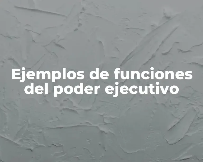 Ejemplos de funciones del poder ejecutivo