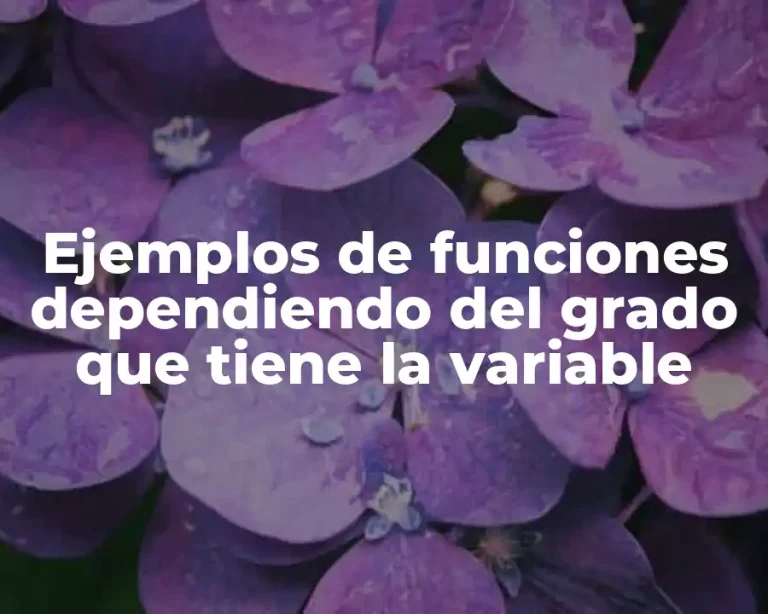 Ejemplos de funciones dependiendo del grado que tiene la variable