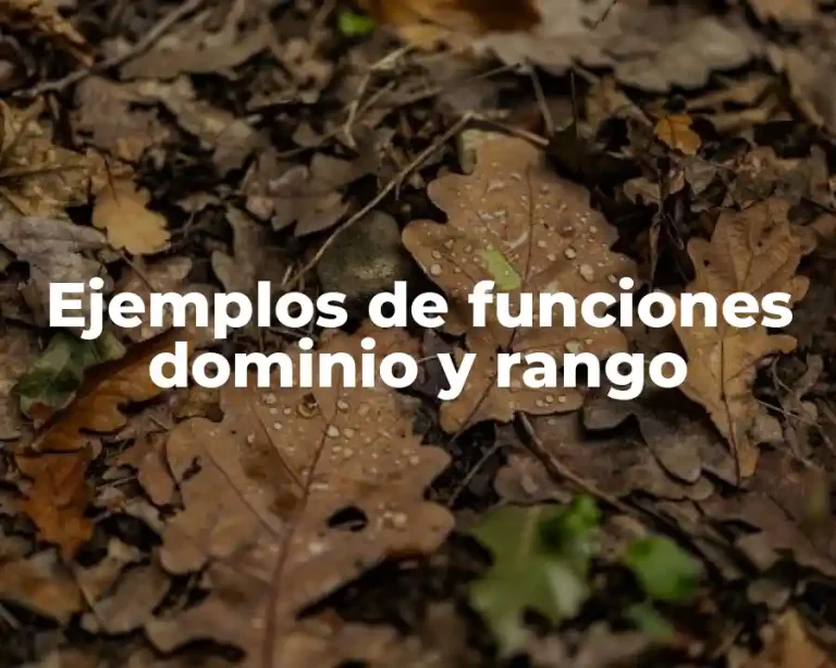 Ejemplos de funciones dominio y rango