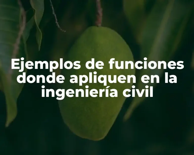 Ejemplos de funciones donde apliquen en la ingeniería civil