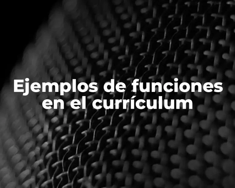 Ejemplos de funciones en el currículum