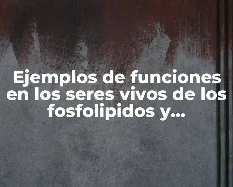 Ejemplos de funciones en los seres vivos de los fosfolipidos y Significado