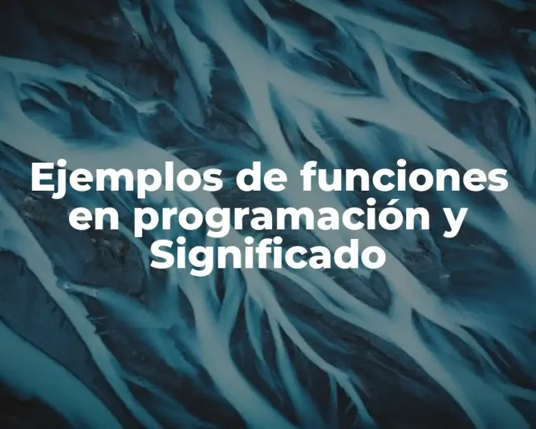 Ejemplos de funciones en programación y Significado