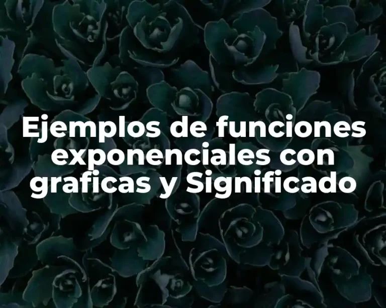 Ejemplos de funciones exponenciales con graficas y Significado