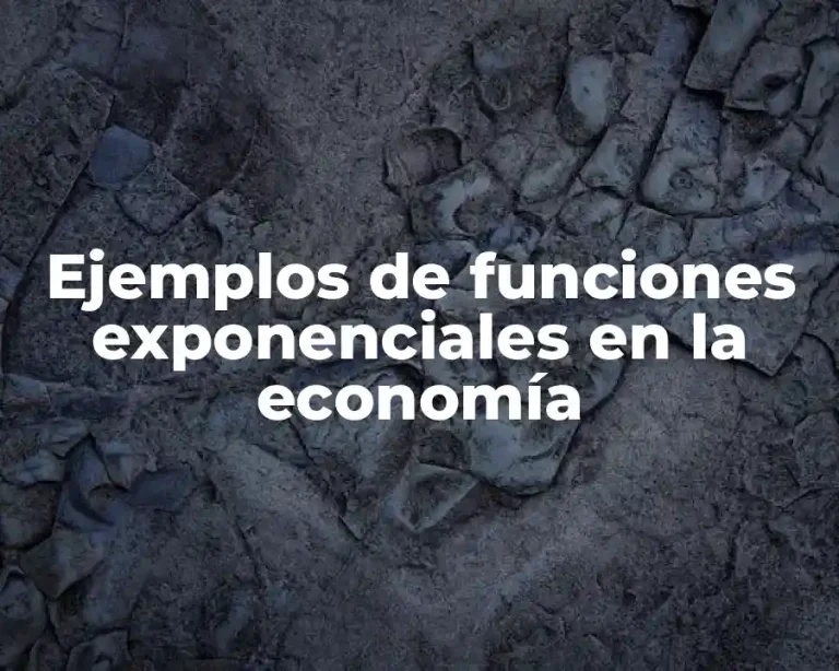 Ejemplos de funciones exponenciales en la economía