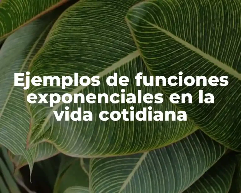 Ejemplos de funciones exponenciales en la vida cotidiana