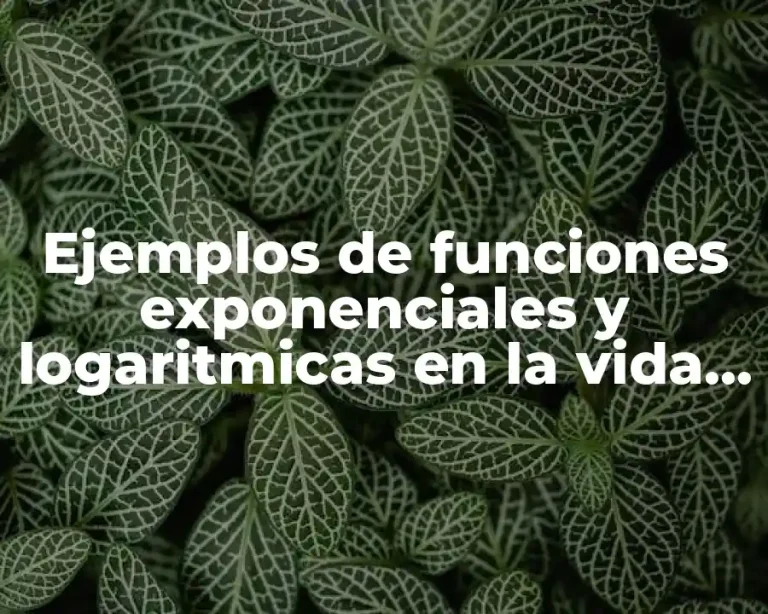 Ejemplos de funciones exponenciales y logaritmicas en la vida cotidiana y Significado