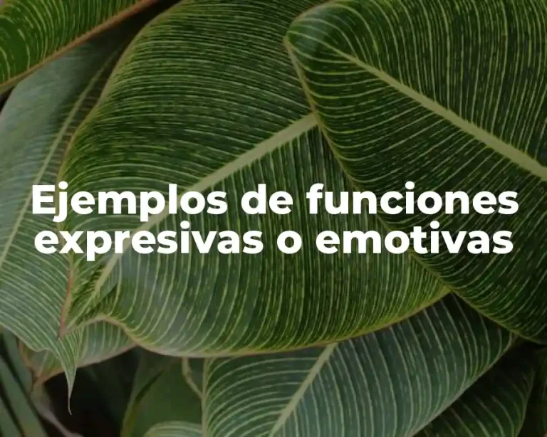 Ejemplos de funciones expresivas o emotivas
