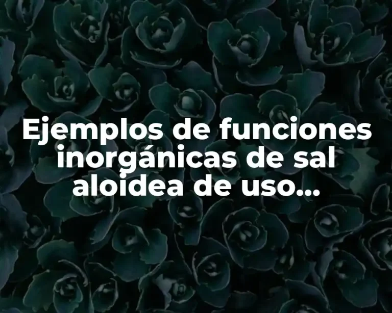Ejemplos de funciones inorgánicas de sal aloidea de uso cotidiano y Significado