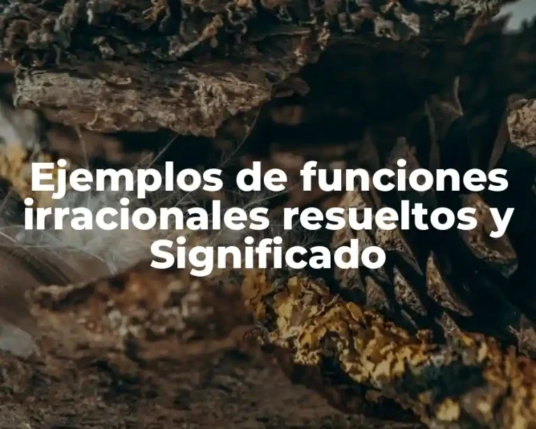Ejemplos de funciones irracionales resueltos y Significado