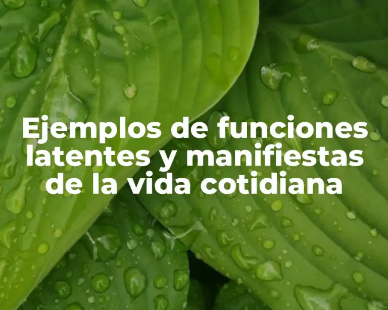 Ejemplos de funciones latentes y manifiestas de la vida cotidiana