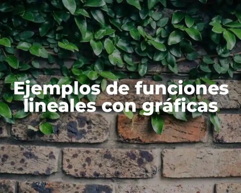Ejemplos de funciones lineales con gráficas