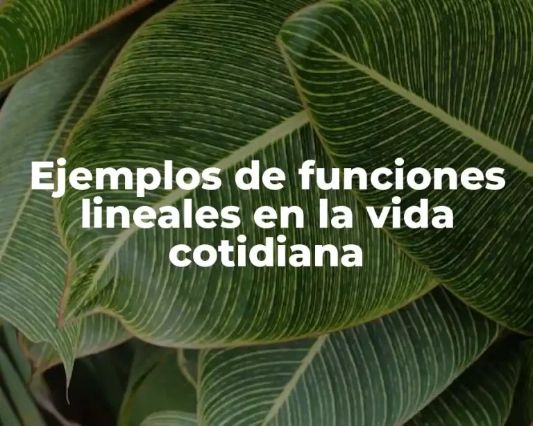 Ejemplos de funciones lineales en la vida cotidiana