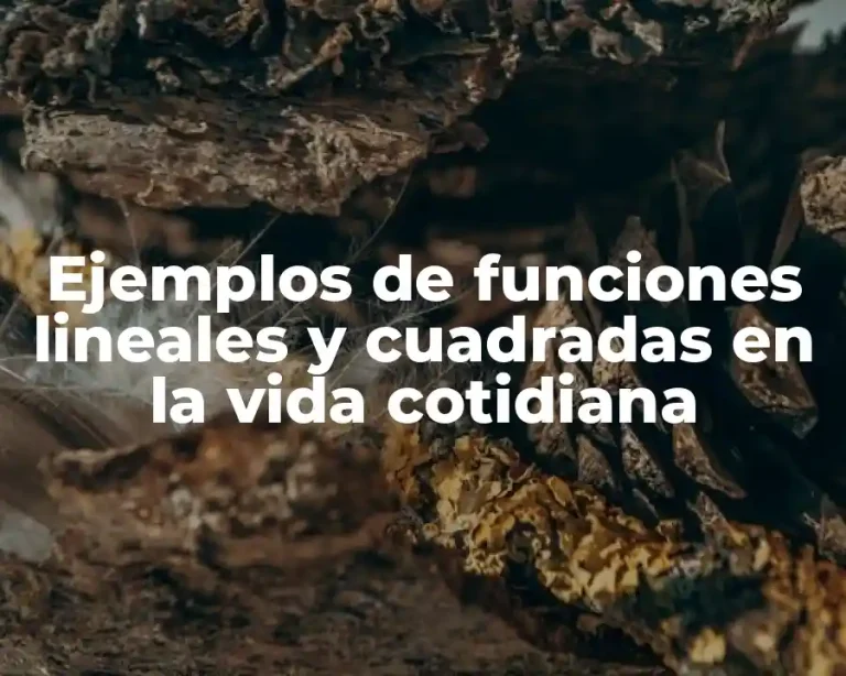 Ejemplos de funciones lineales y cuadradas en la vida cotidiana