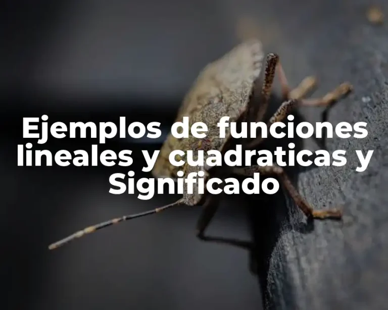 Ejemplos de funciones lineales y cuadraticas y Significado