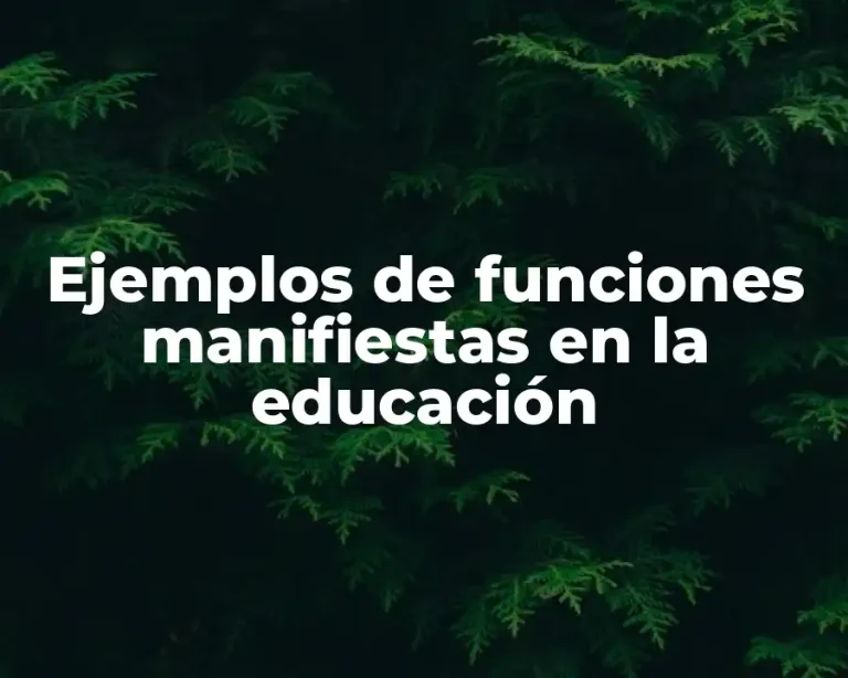 Ejemplos de funciones manifiestas en la educación