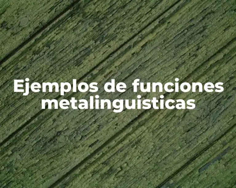 Ejemplos de funciones metalinguisticas