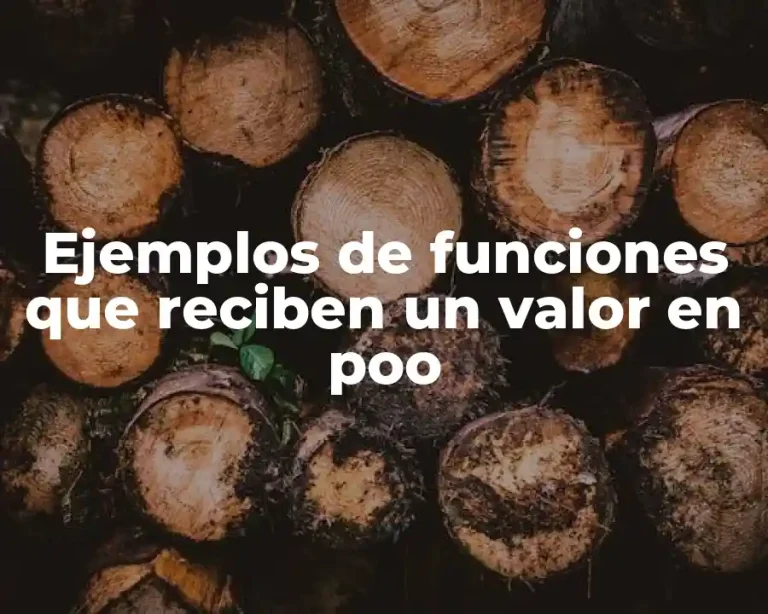Ejemplos de funciones que reciben un valor en poo