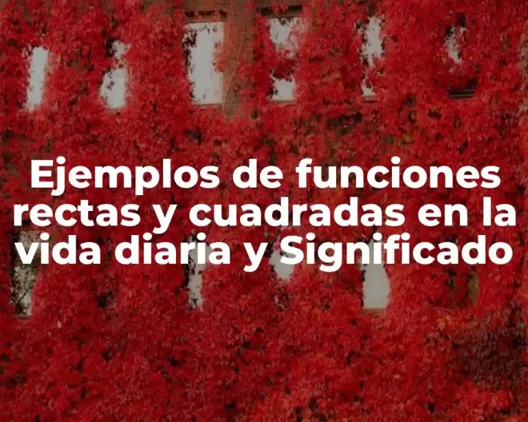 Ejemplos de funciones rectas y cuadradas en la vida diaria y Significado