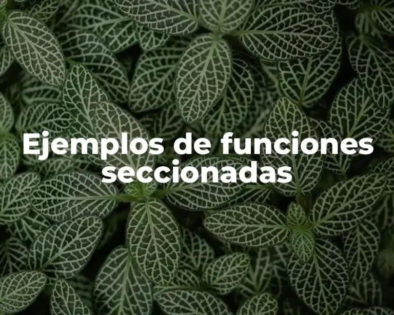 Ejemplos de funciones seccionadas