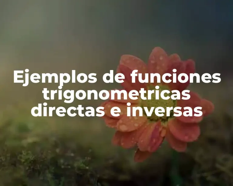 Ejemplos de funciones trigonometricas directas e inversas