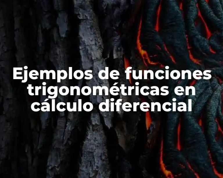 Ejemplos de funciones trigonométricas en cálculo diferencial