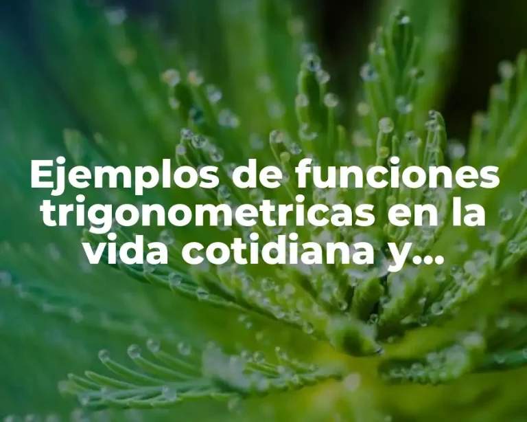 Ejemplos de funciones trigonometricas en la vida cotidiana y Significado