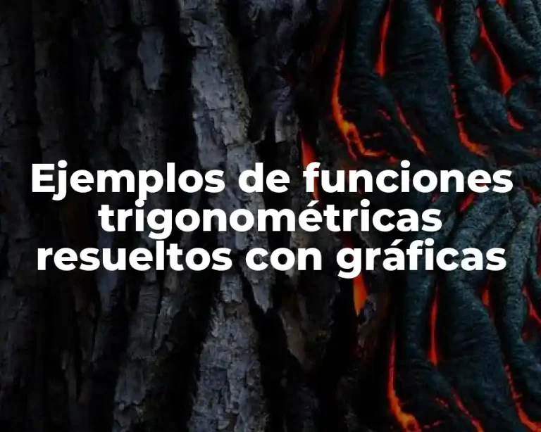 Ejemplos de funciones trigonométricas resueltos con gráficas
