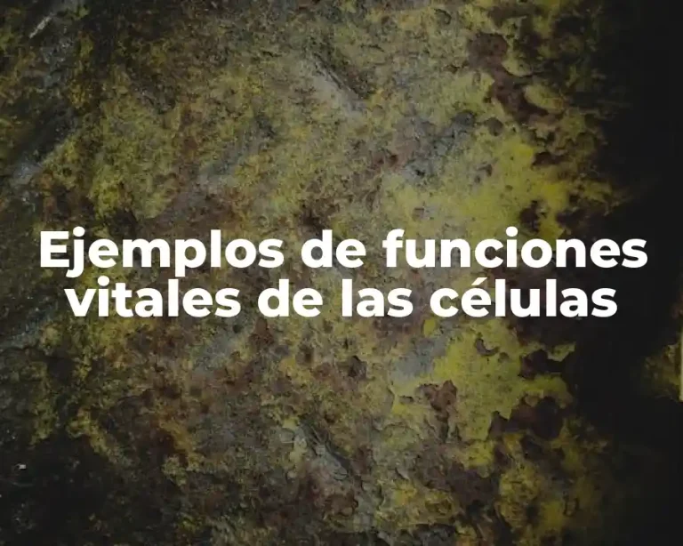 Ejemplos de funciones vitales de las células