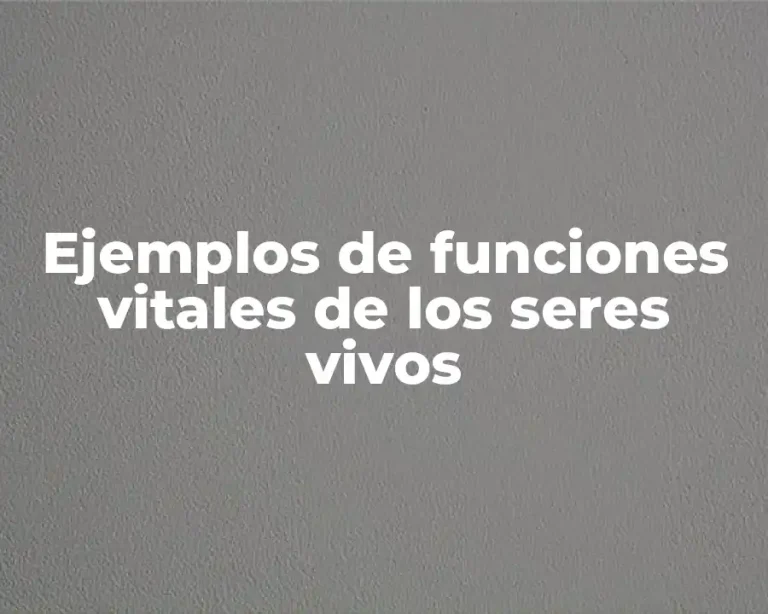 Ejemplos de funciones vitales de los seres vivos