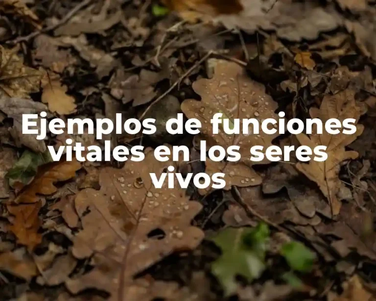 Ejemplos de funciones vitales en los seres vivos