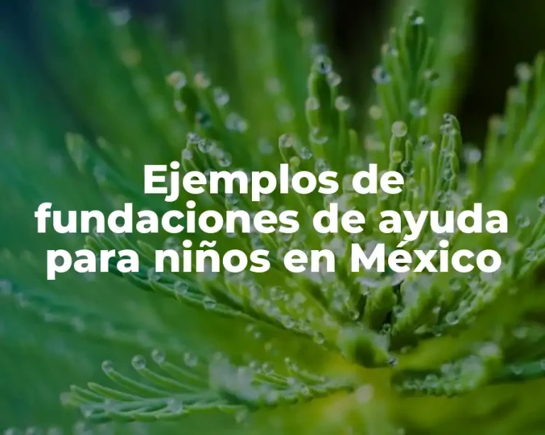 Ejemplos de fundaciones de ayuda para niños en México