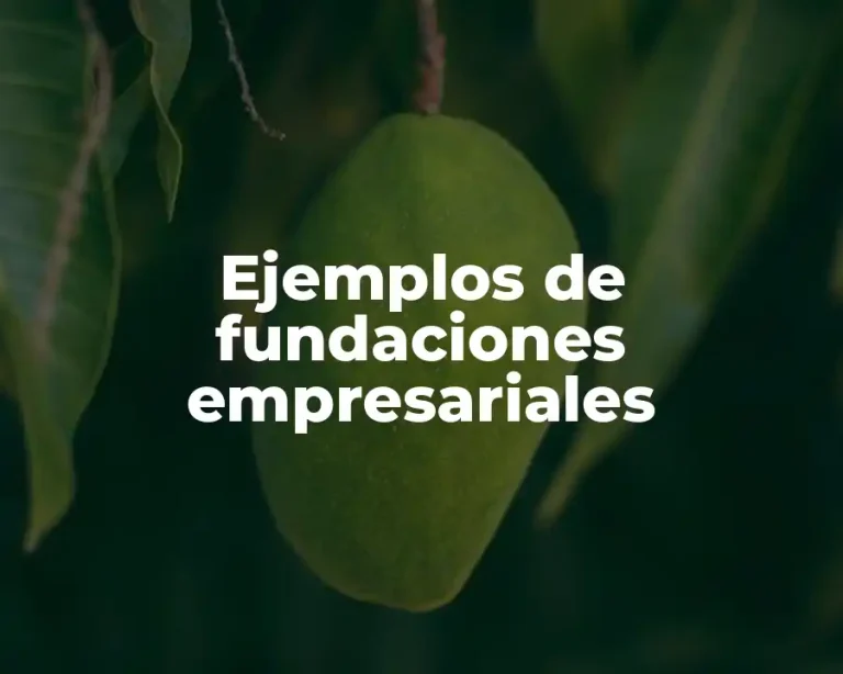 Ejemplos de fundaciones empresariales