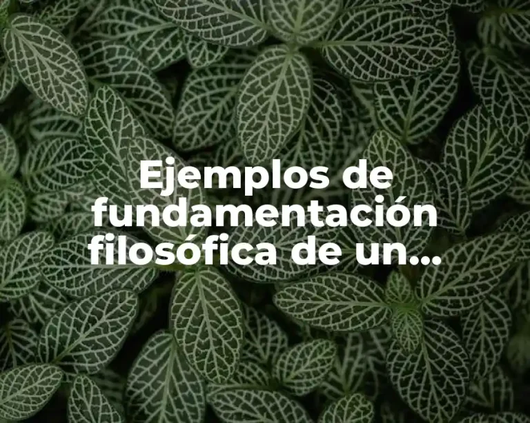 Ejemplos de fundamentación filosófica de un proyecto
