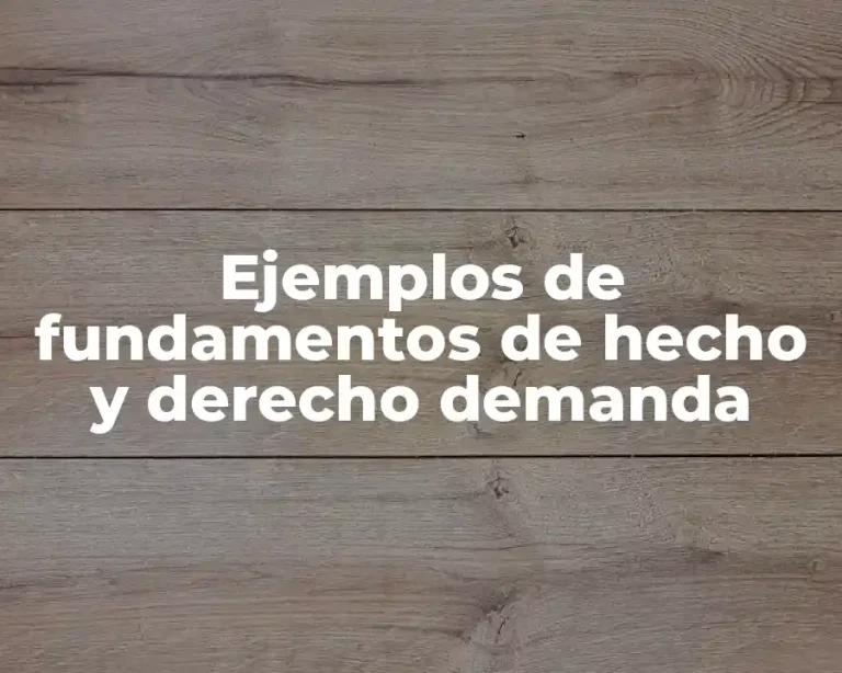 Ejemplos de fundamentos de hecho y derecho demanda