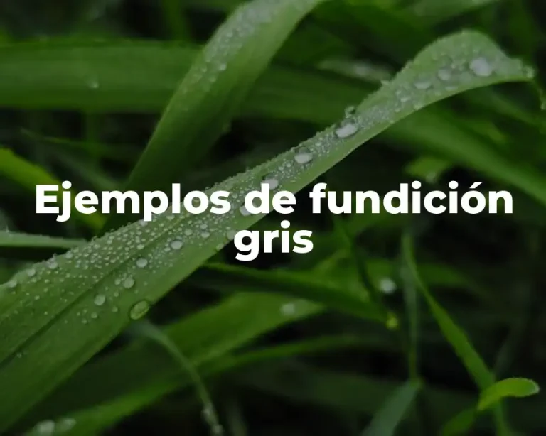 Ejemplos de fundición gris