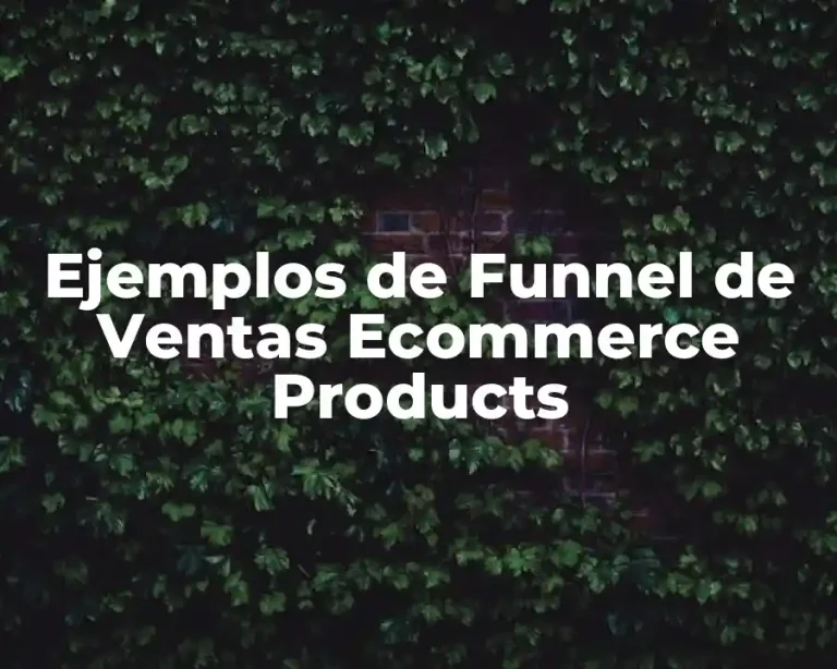 Ejemplos de Funnel de Ventas Ecommerce Products