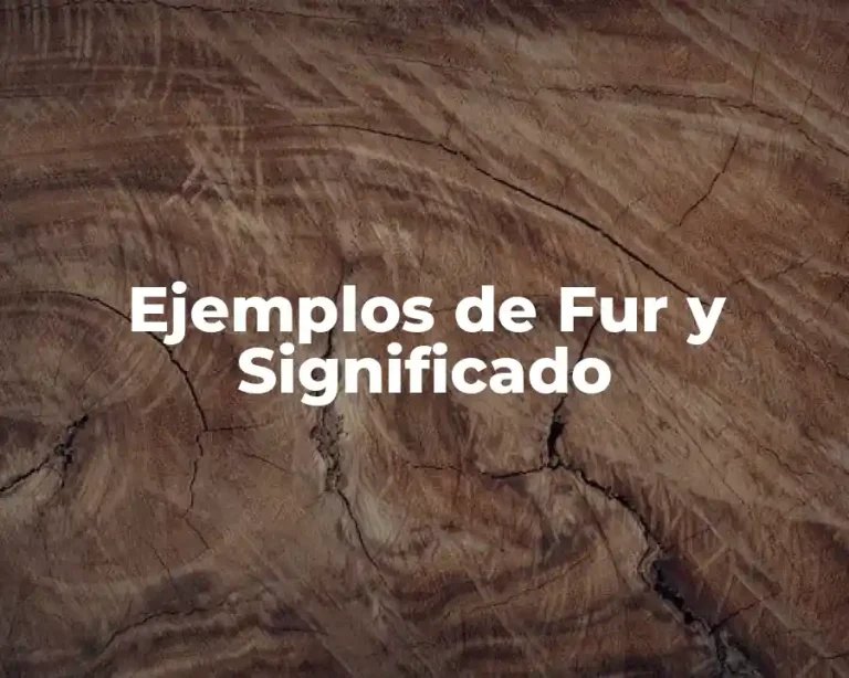 Ejemplos de Fur y Significado