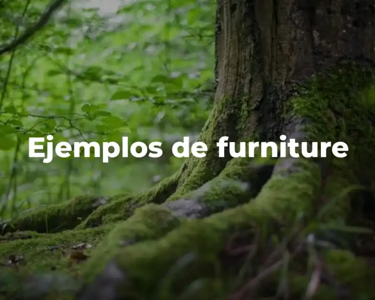 Ejemplos de furniture