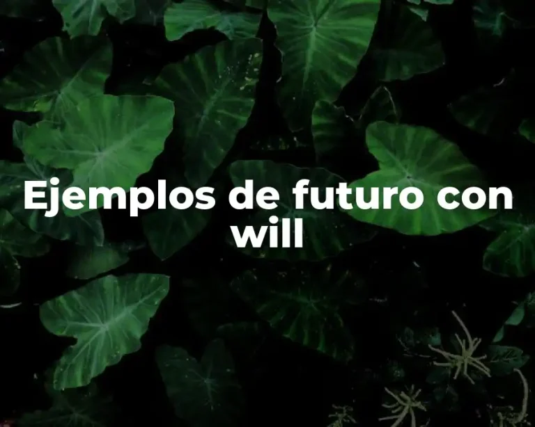 Ejemplos de futuro con will