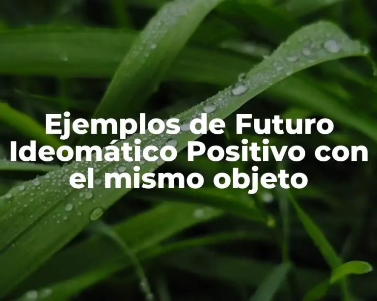 Ejemplos de Futuro Ideomático Positivo con el mismo objeto